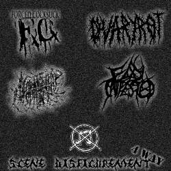 Fly Infested : Scene Disfigurement